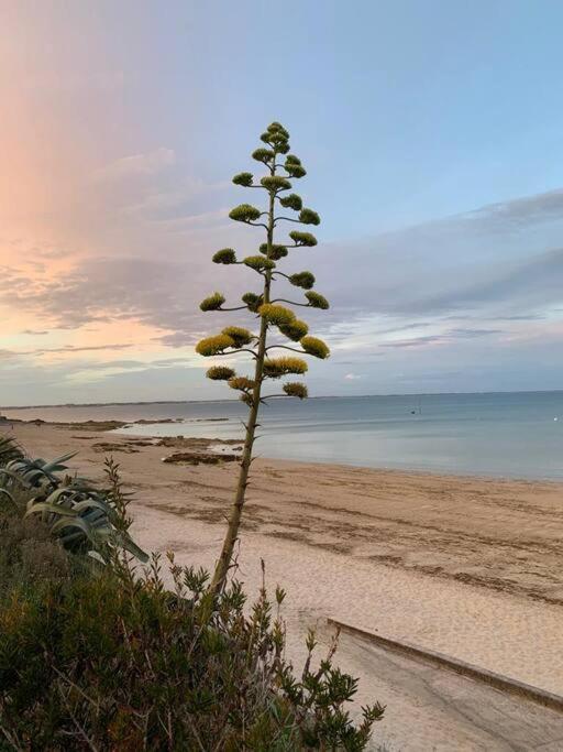 Cocon Neuf - 6 A 8 Pers 3 Chb Proche Plage, Port, Centre Ville Saint-Pierre-Quiberon Bagian luar foto