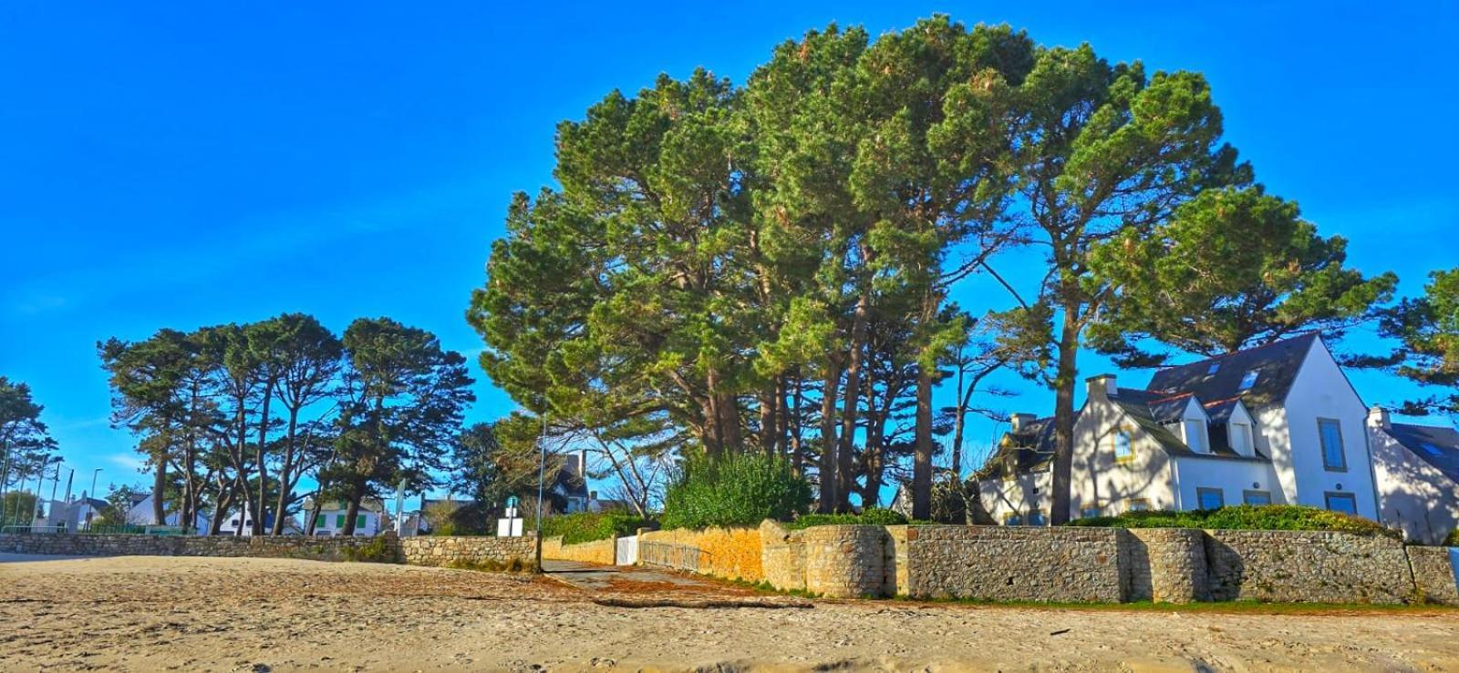Cocon Neuf - 6 A 8 Pers 3 Chb Proche Plage, Port, Centre Ville Saint-Pierre-Quiberon Bagian luar foto